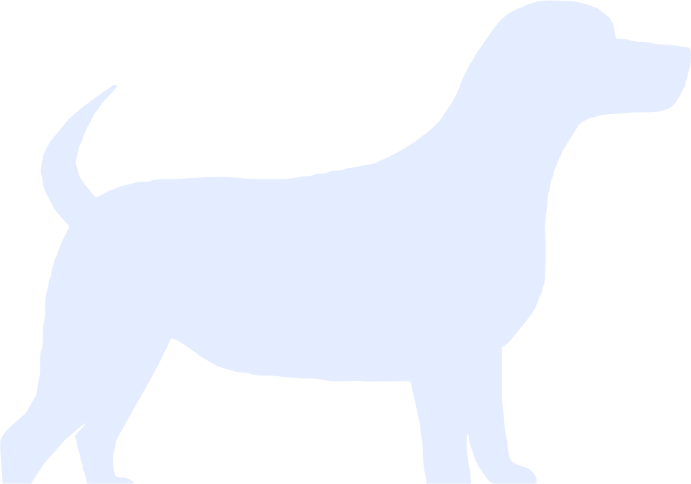 Imagem de um cachorro